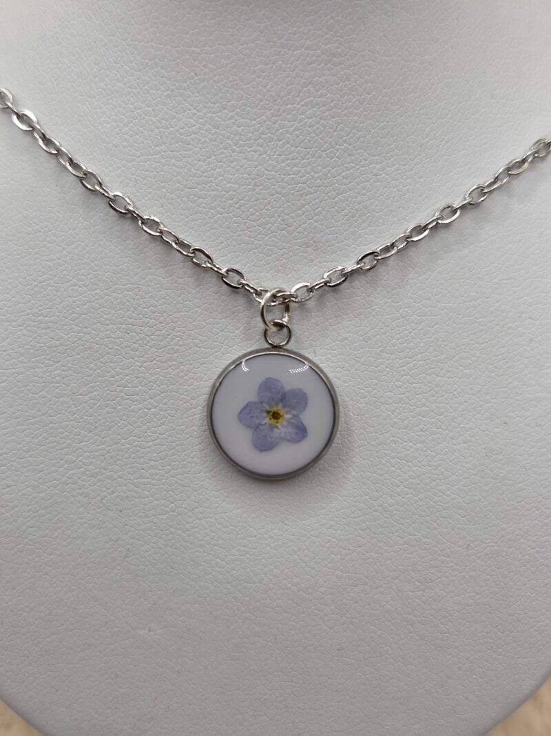 💙🌸 Collier en Acier Inoxydable – Myosotis Séché & Fond Blanc