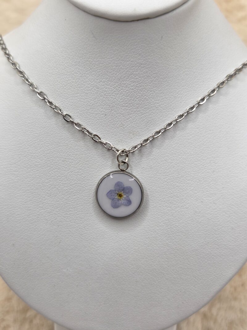 💙🌸 Collier en Acier Inoxydable – Myosotis Séché & Fond Blanc – Image 2