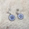 💙🌼 Petites Boucles d’Oreilles Pendantes – Myosotis Séchés & Fond Blanc