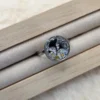 🌿 Bague Ajustable Ginkgo – Élégance Argentée & Détails Graphiques