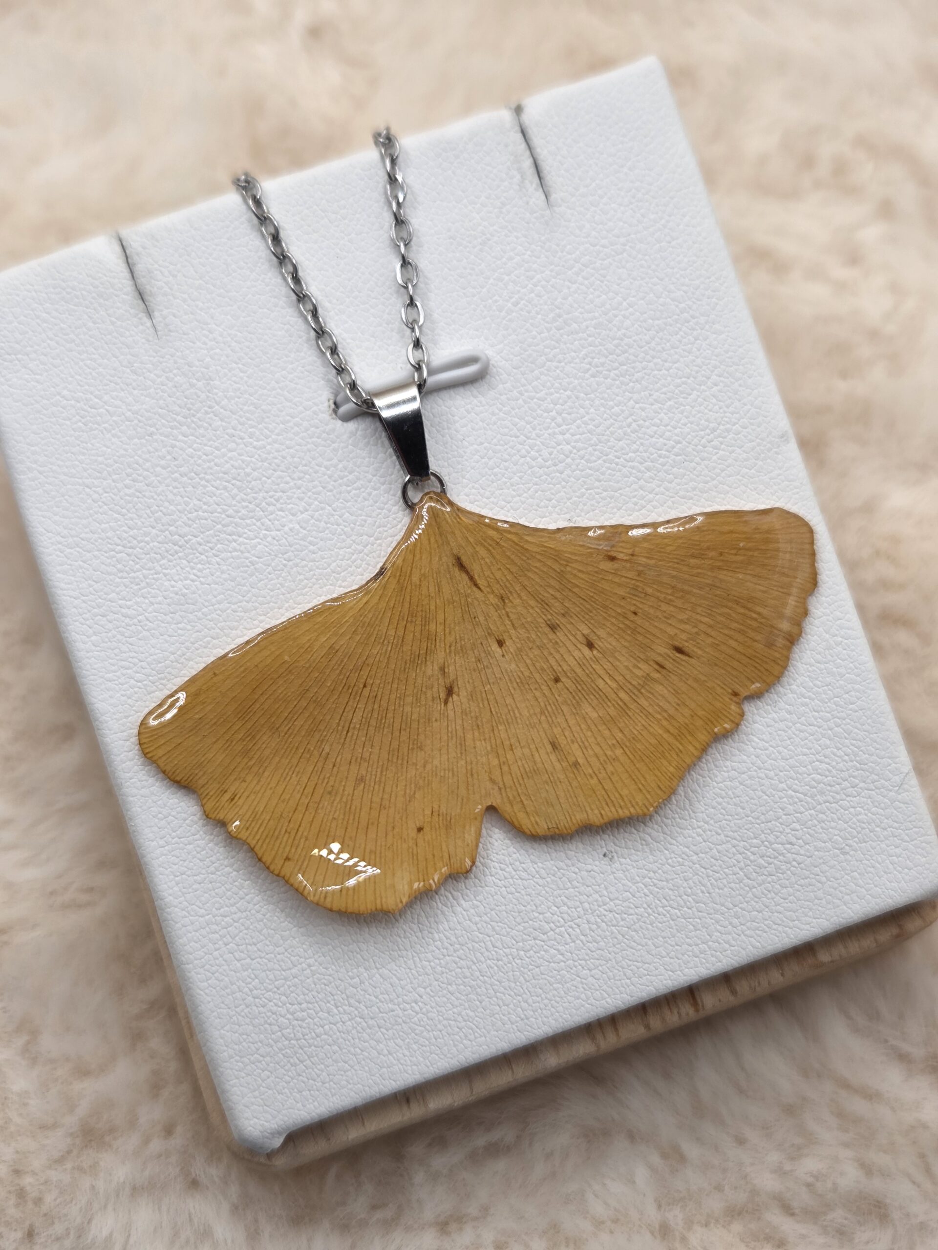 🌟 Pendentif Feuille de Ginkgo Véritable – Acier Inoxydable & Nature Eternelle 🌟